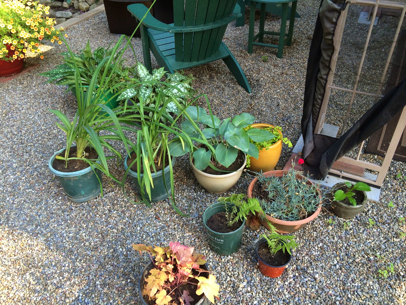 My Zen Garden: June 2014