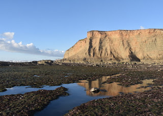 Cliff reflected in a tide pool at Mavericks Beach, Princeton-by-the-Sea, California