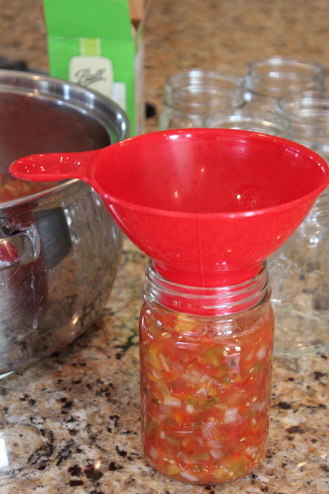 Canned Pico De Gallo