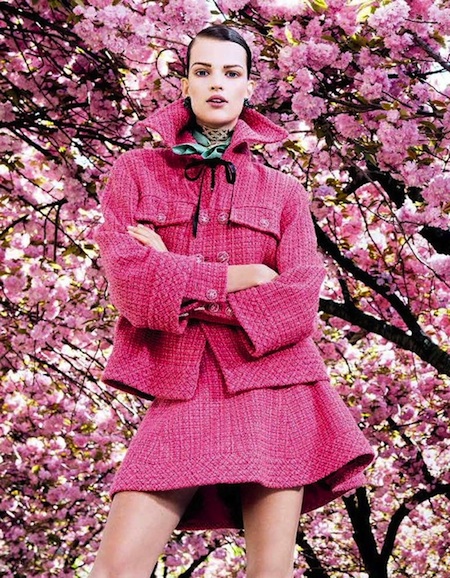 my favorite color pink essay my favorite color pink essay