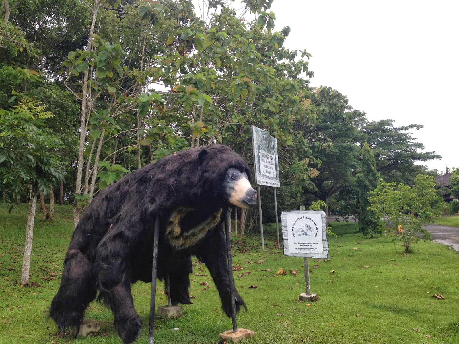 Carl Fakaruddin Wisata Gratis Beruang Madu di Balikpapan