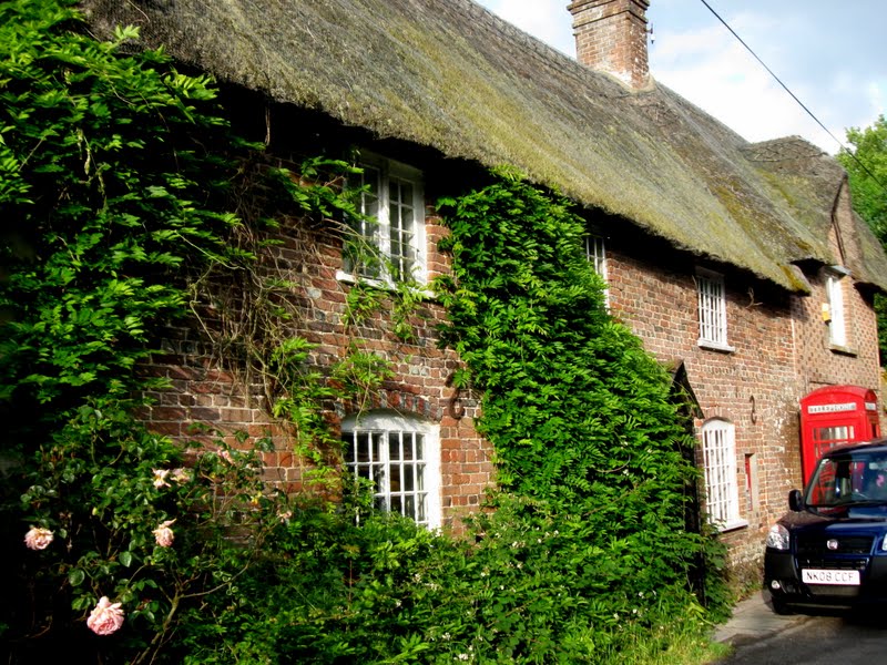 Curlew Country Dorset Ramblings