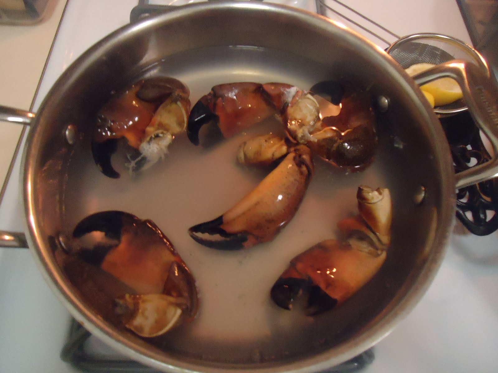 Kitchen Pulse The joys of GalvestonStone Crab