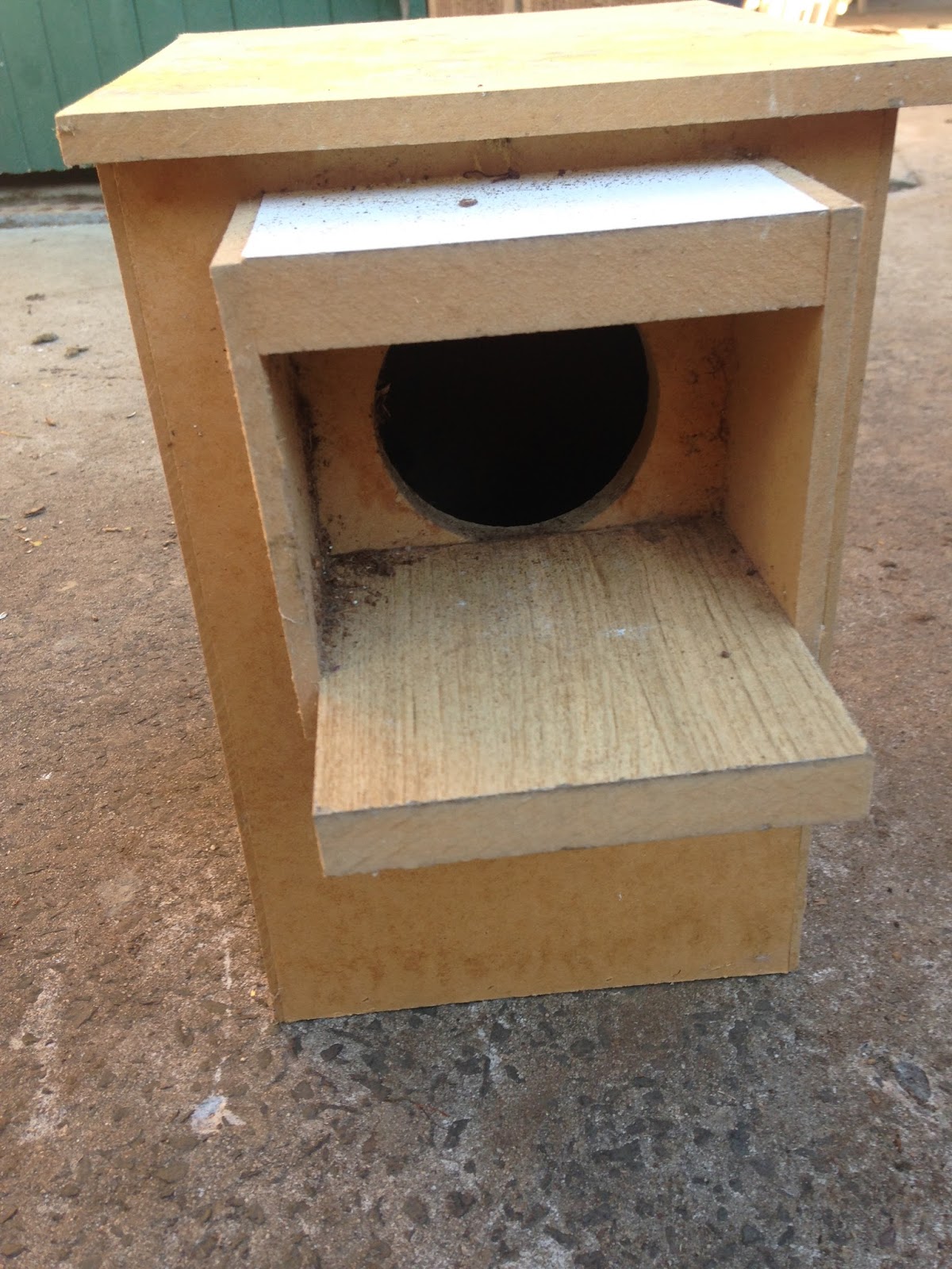 Parrot Breeding Red Rumped Parrot Nesting Box