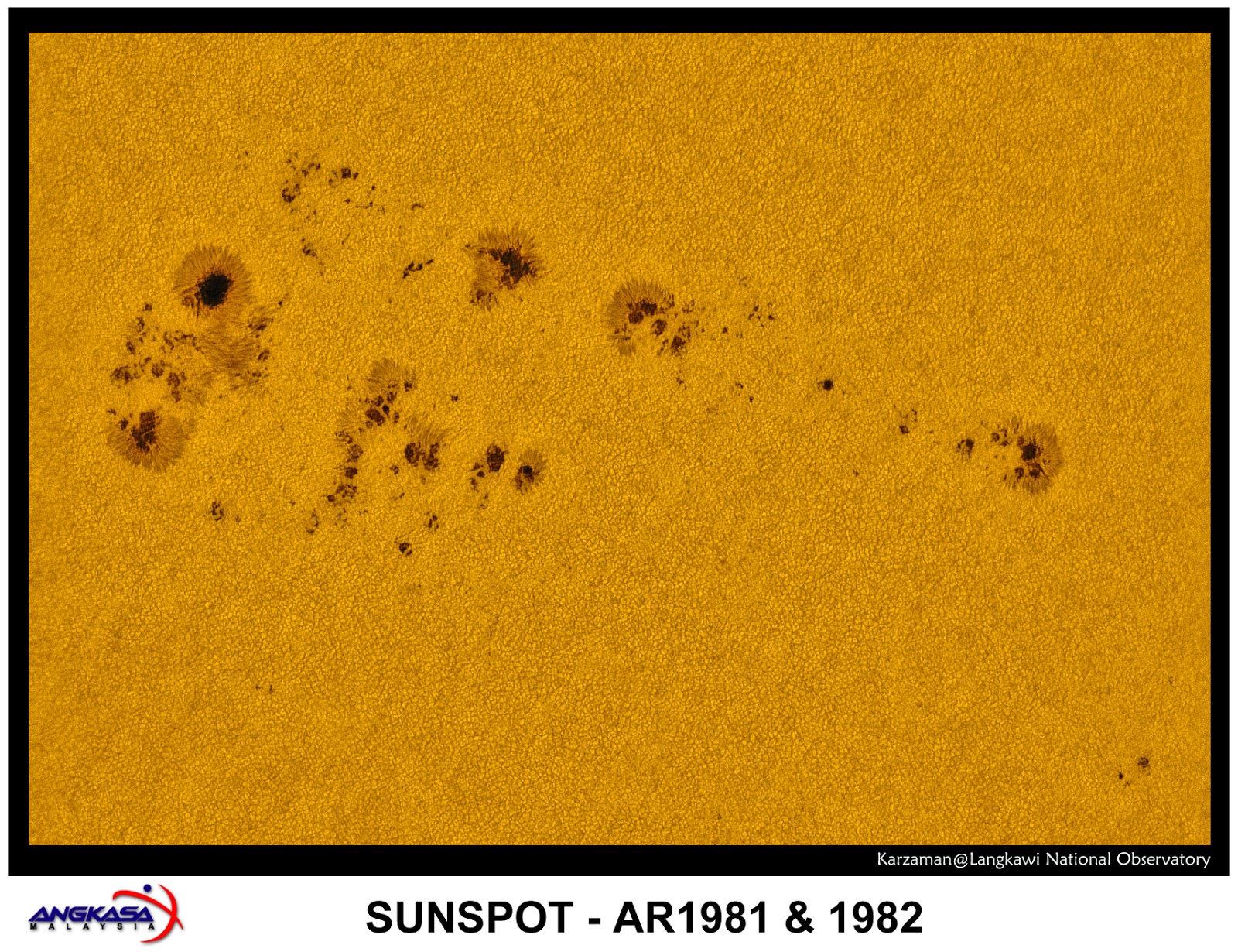 #Space Weather Forecasts - ESTUDIO DEL SOL Y LA #MAGNETOSFERA , #ASTRONOMÍA - Página 26 Mancha+solar+1981-1982+completas