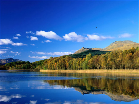 HD Animated Wallpapers Animated Wallpaper Software Animated Wallpaper Watermill by