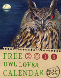 Owl Lover 2015 Calendar