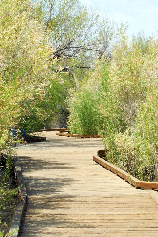 Point of Rocks Boardwalk _3055