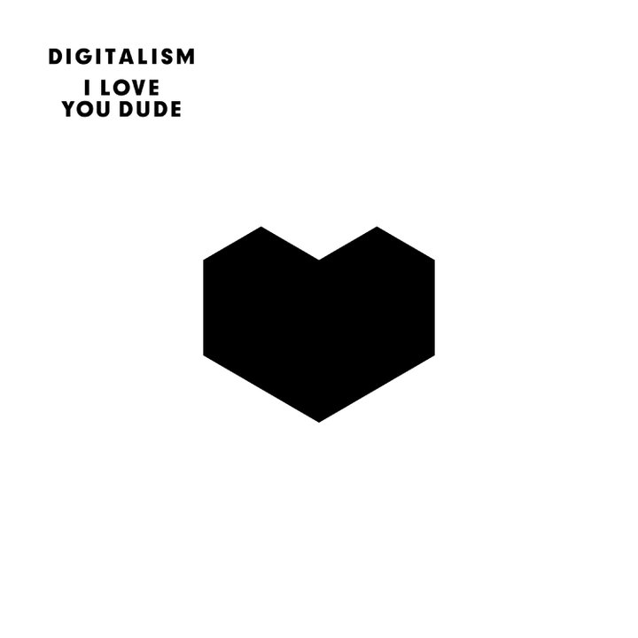 Digitalism I Love You Dude