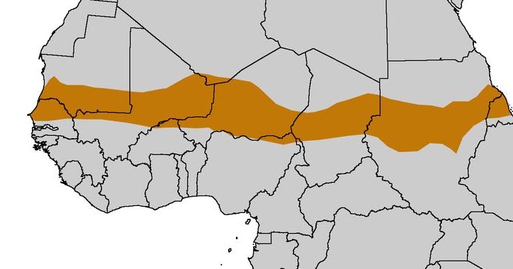 Paleoglot The Sahelian kingdoms of Africa