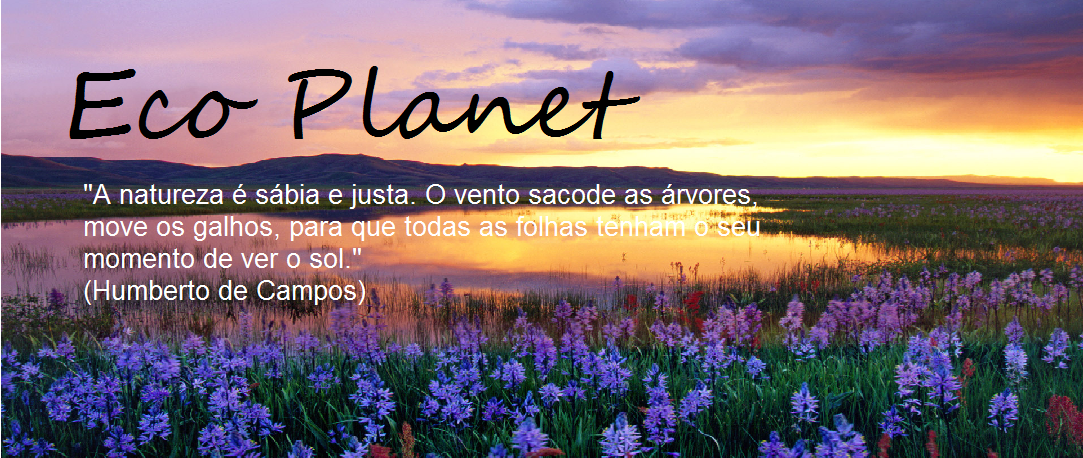 Eco Planet