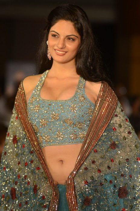 hyderabad fashion week beautiful model photo gallery