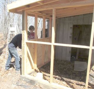 Building a Chicken Coop