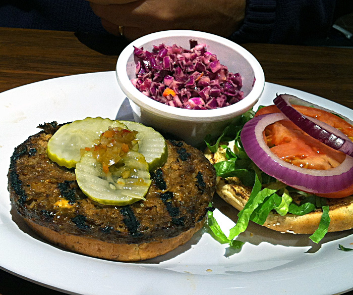 Andrea's Easy Vegan Cooking Veggie Grill