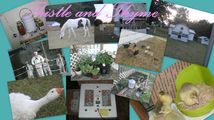 Thistle and Thyme Farm