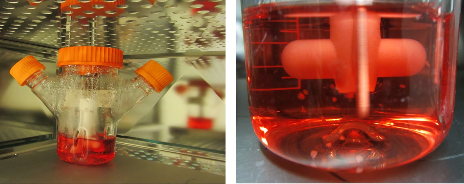 Researchers create the first labgrown human ‘mini brains’ Tracktec