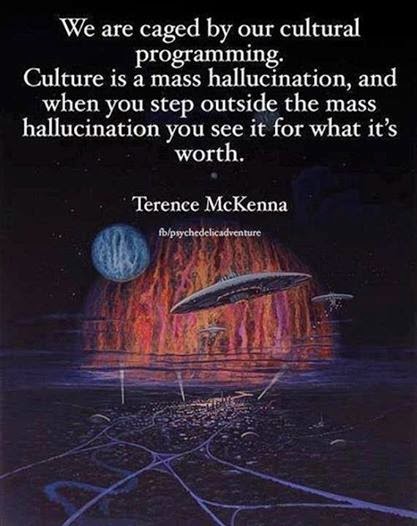 The Transcendental Object at the End of Time : Terence Mckenna Movie