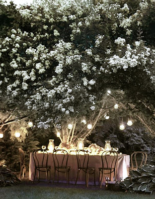 moonlight garden moonlight garden