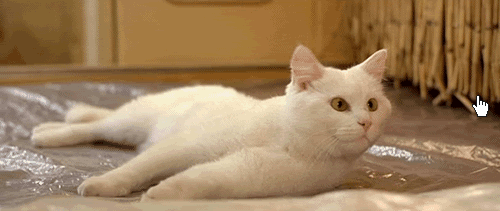 tumblr_ltjig9kaix1qb0p52o1_500.gif