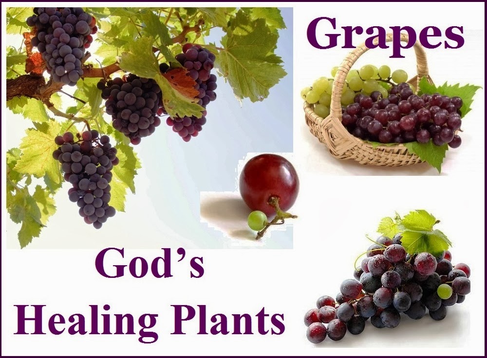 What are nutrition facts about grapes?