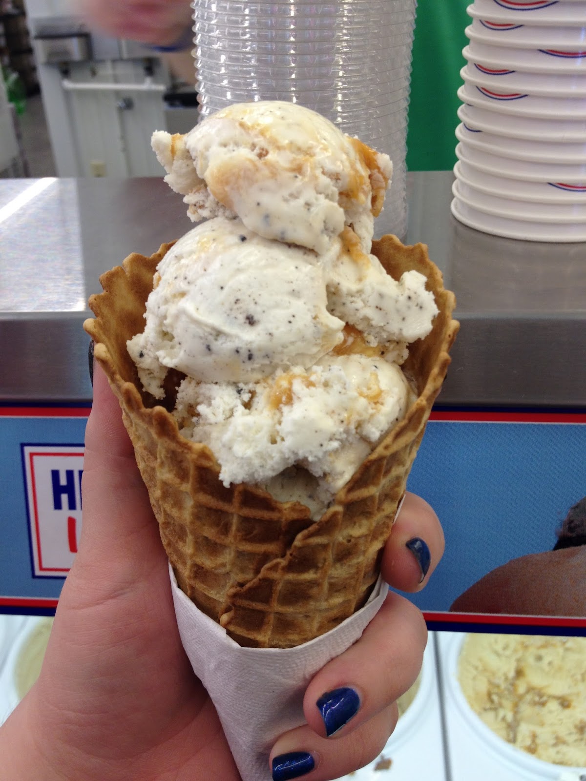 Mountaineer Gun Sales and Mountaineer Country Ice Cream Candace Lately