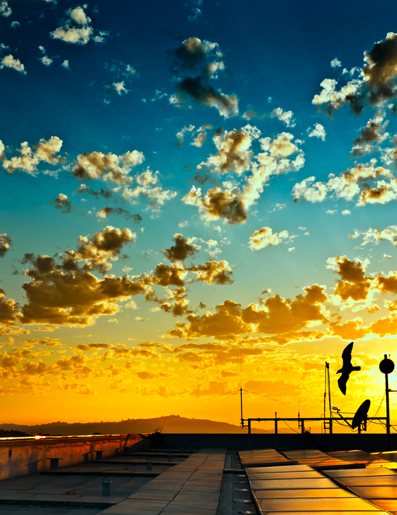 Mini Competition #1078