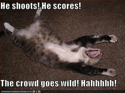 silly+cat+pictures+4.jpg