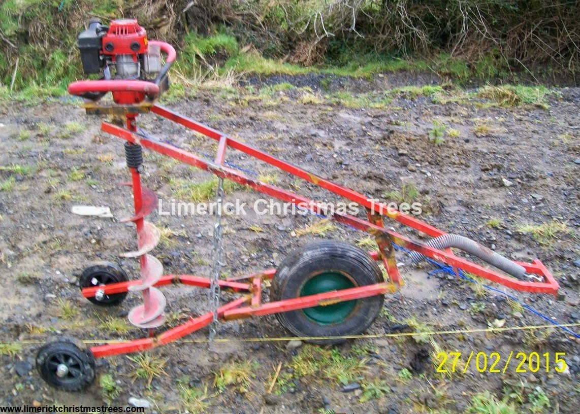 Limerick Christmas Tree Centre Planting Christmas Trees