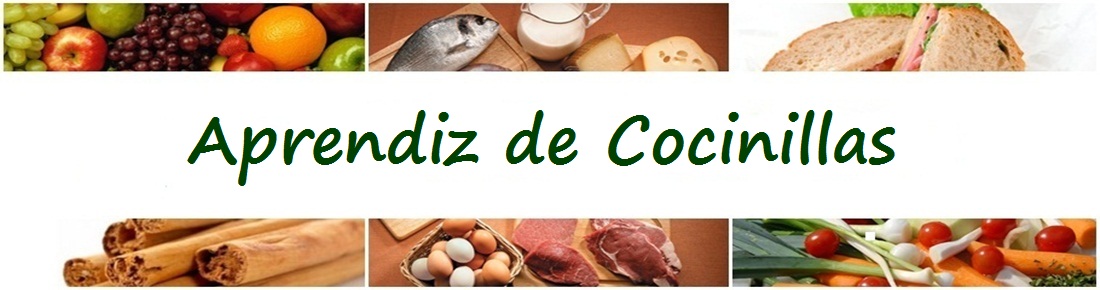 Aprendiz de Cocinillas