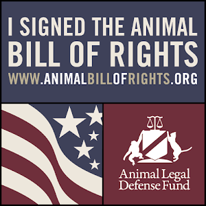 animal bill of rights The animal rights movement, by contrast, invariably takes the opposite tack — either reducing us to the level of animals or attempting to raise them up to ours both should be resisted. animal bill of rights The animal rights movement, by contrast, invariably takes the opposite tack — either reducing us to the level of animals or attempting to raise them up to ours both should be resisted.