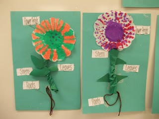 Parts of a Flower | Mrs. McGinnis' Little Zizzers