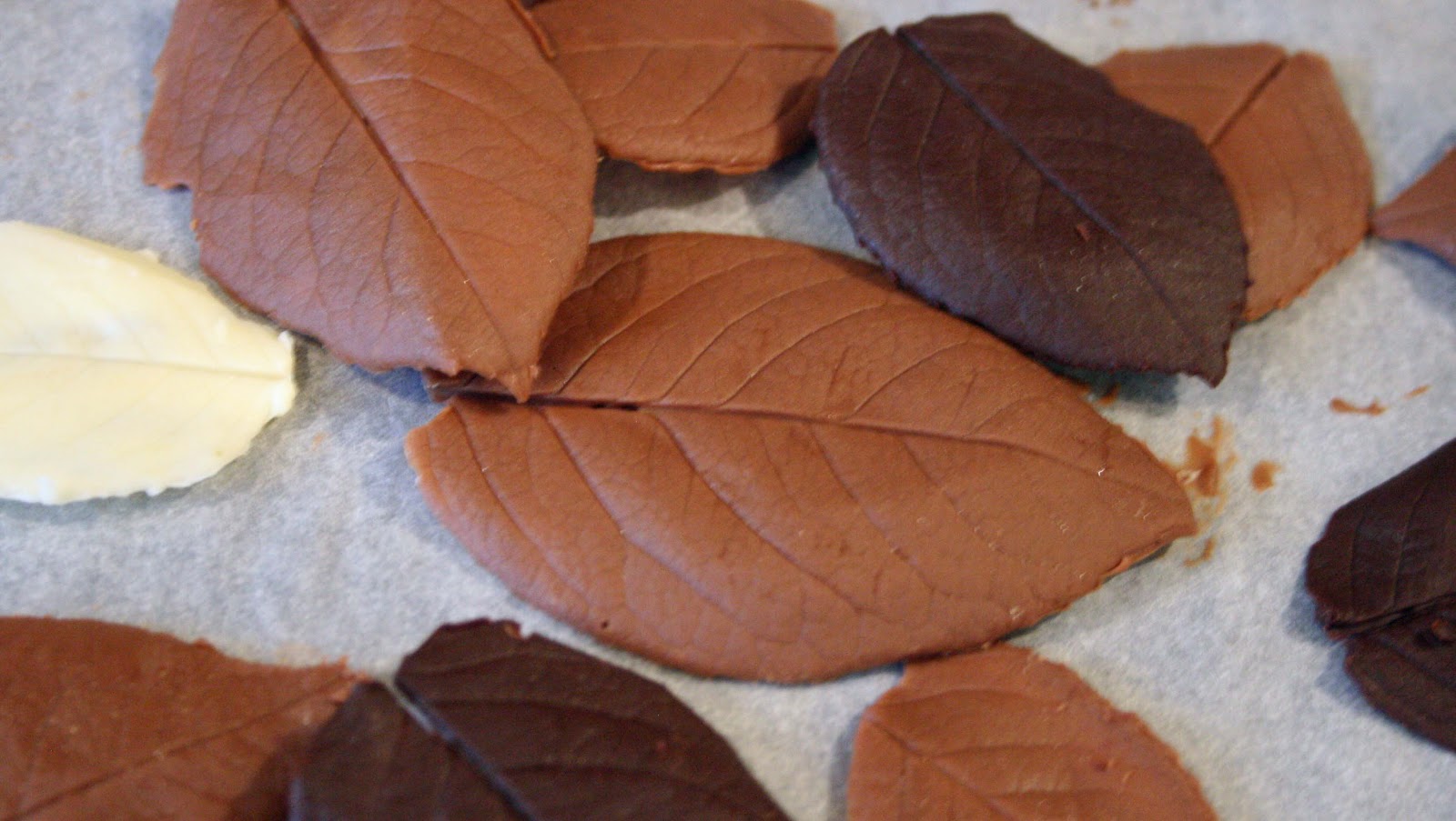 lauralovescakes... How to Make Chocolate Leaves...