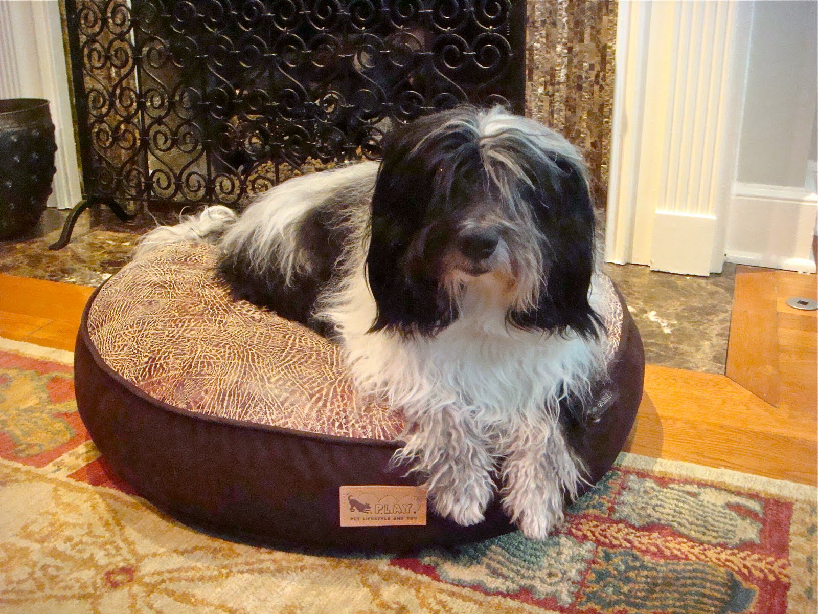 To Dog With Love Pet Product Review P L A Y Pet Beds