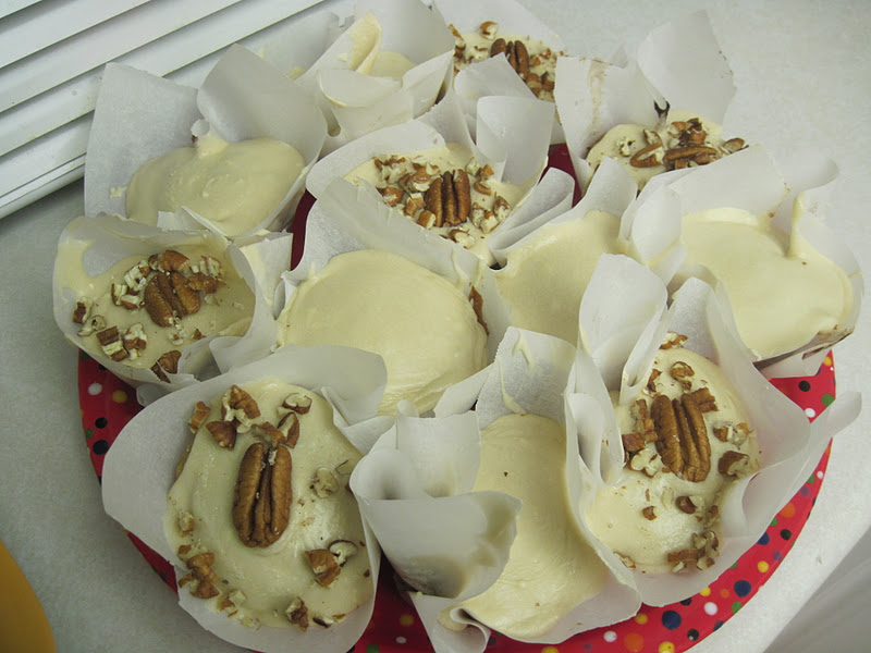 PolkaDotty Place Parchment Paper Cupcake Liners
