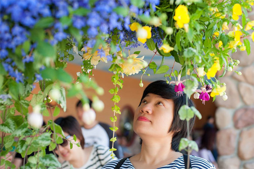 [Image: thanh-pho-day-hoa-cua-dat-nuoc-tuyet-dep...ada-19.jpg]