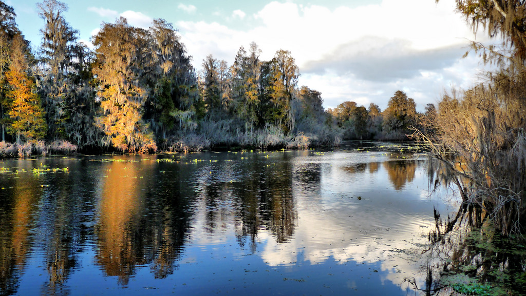 photography by jules Lettuce Lake Park V