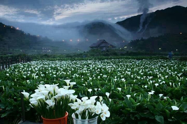 Yangmingshan National Park