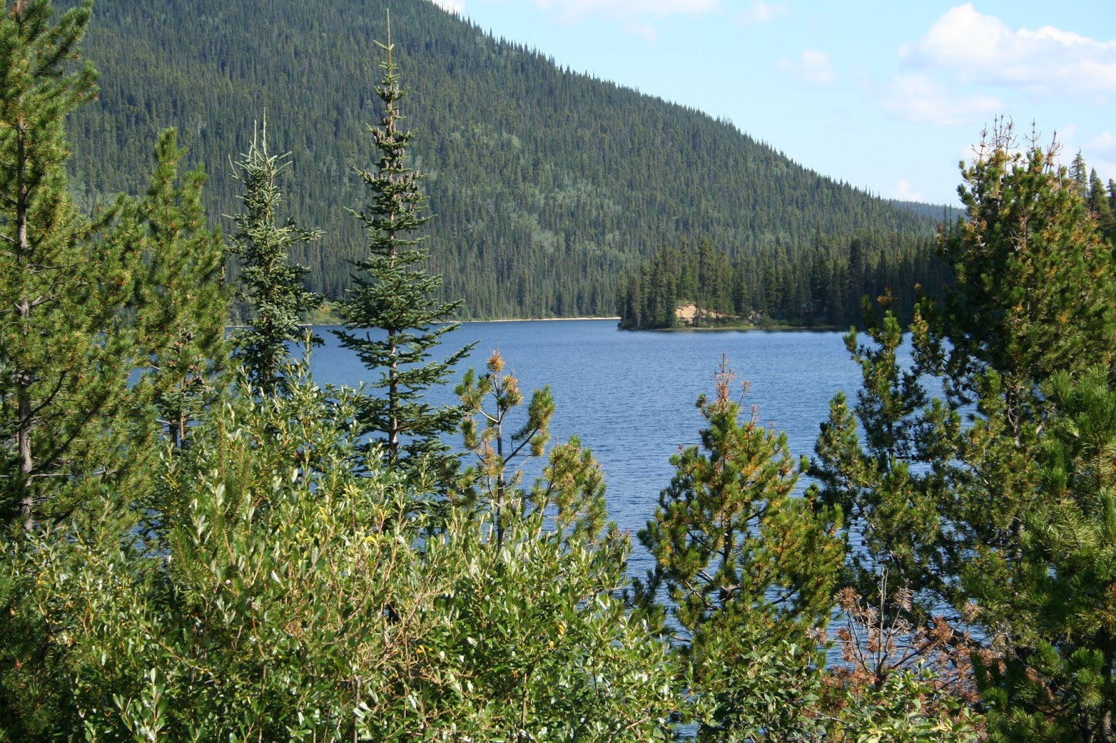 Adventures of Gene, Cheryl And Sami Cassiar Hwy to Dease Lake