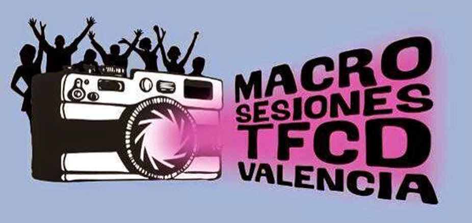 Macrosesiones TFCD Valencia