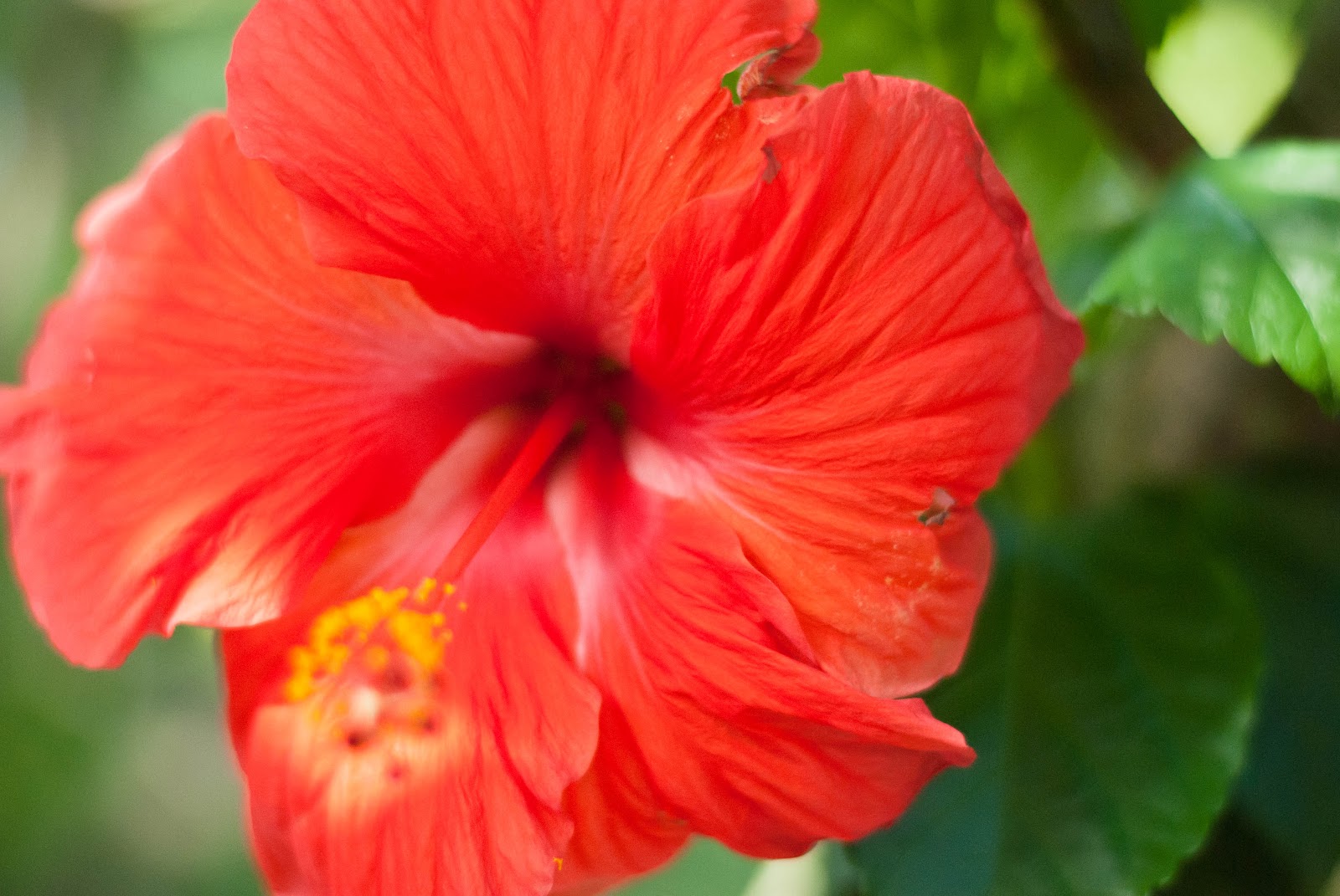 My Trash and Treasure flowers + fletcher