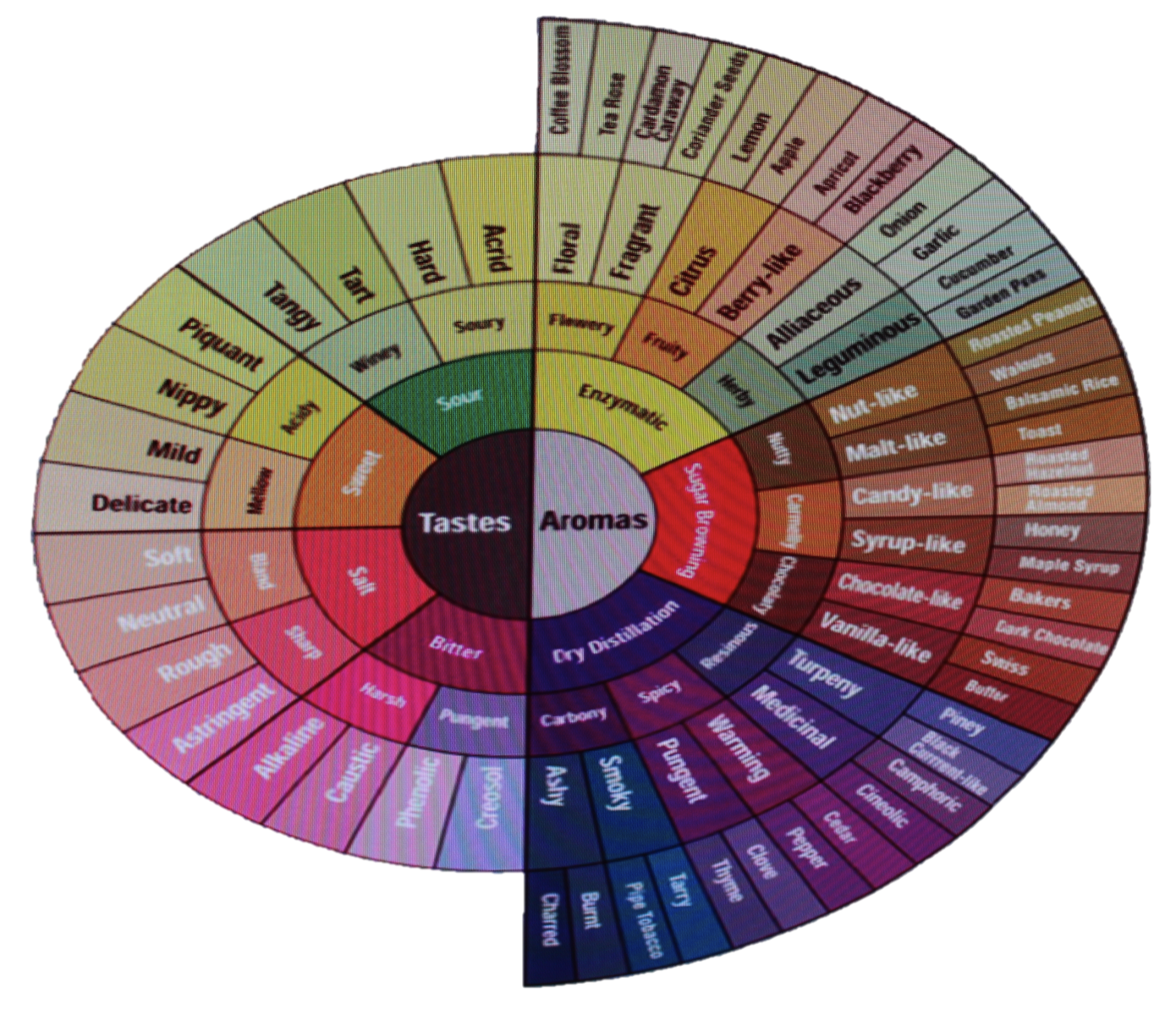 Coffee Channel reviews and howtos Explore the taste and aroma of