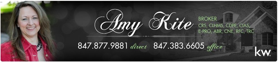 Amy Kite - Northern Chicago Real Estate Specialist
