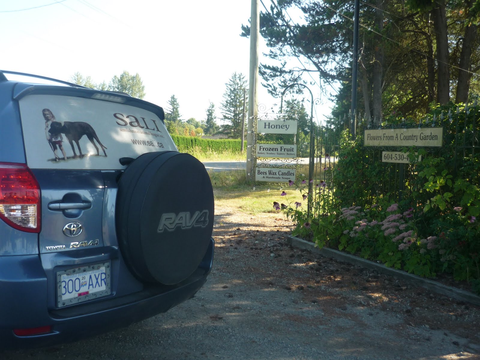 How Much Do U Get If U Donate Your Eggs