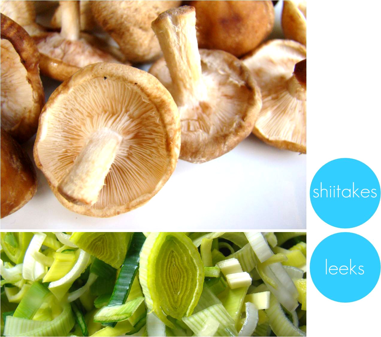 Creamy shiitake and leek chicken