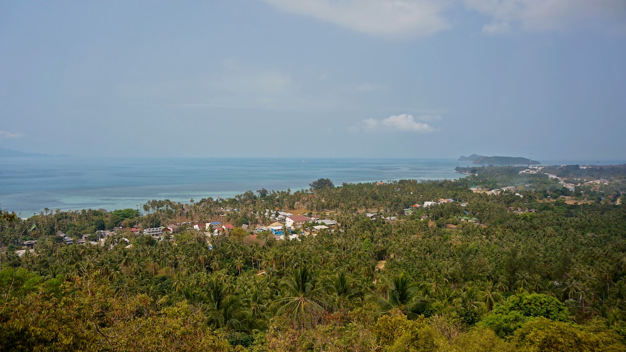 Weekly Diary Kw 49 Konzert Geburtstagsfeier Und 2 Advent