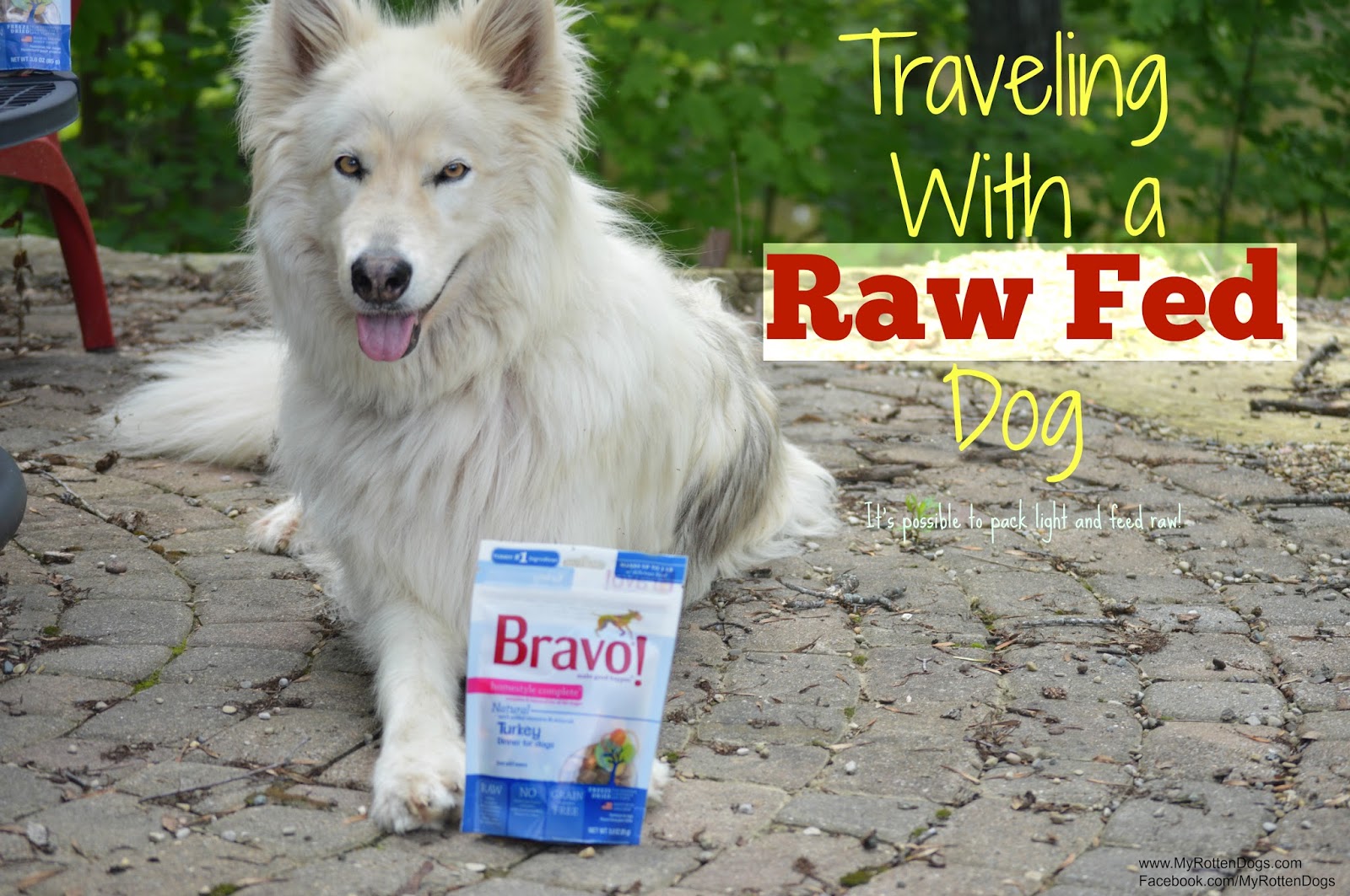 My Rotten Dogs Traveling with a Raw Fed DogNo Cooler Required