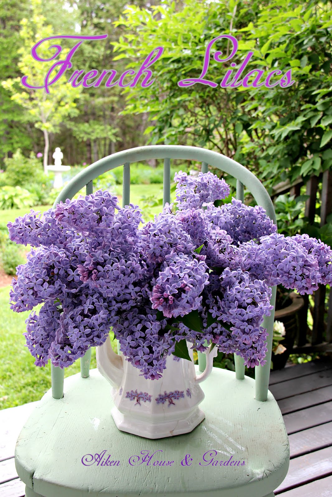 Aiken House & Gardens It's Lilac Season in our Garden