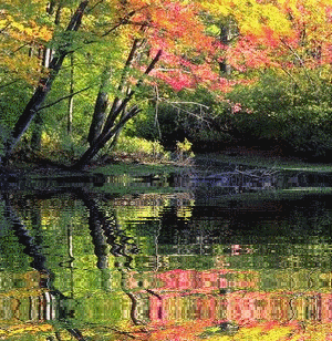 Fondo de pantalla paisajes con movimiento - Imagui