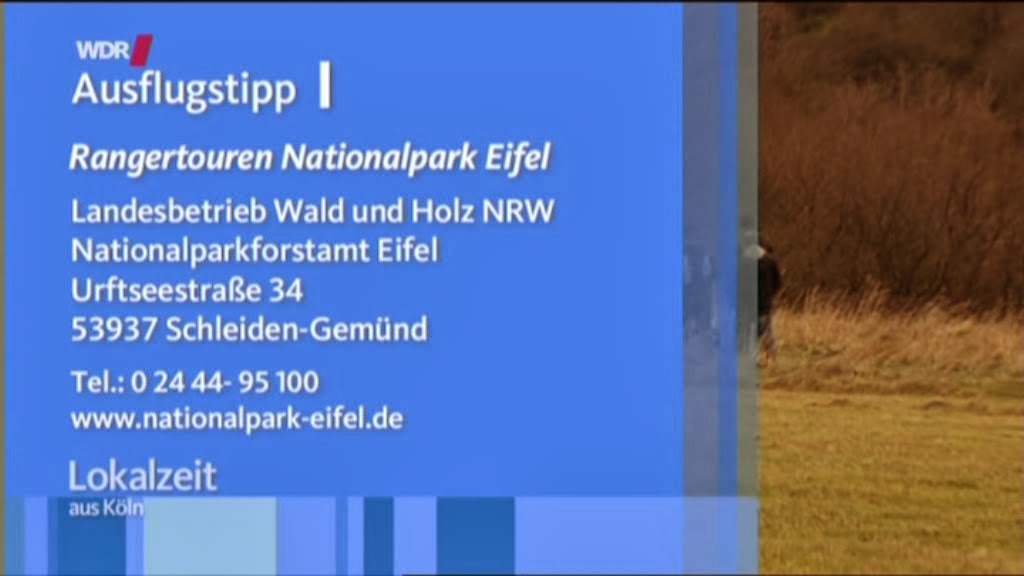 5 700 Jahre Alter Kaugummi Gibt Verbluffende Informationen Preis