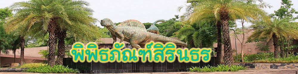 พิพิธภัณฑ์สิรินธร